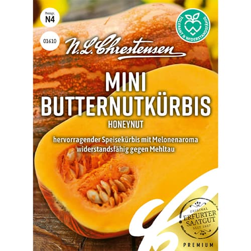 Tök Honeynut kép 1 termék 86061