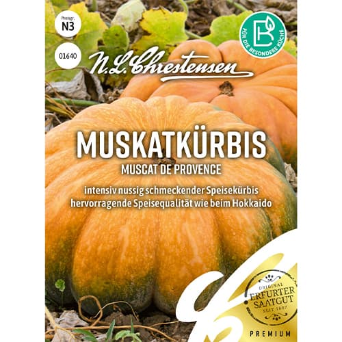 Tök Muscat de Provence termék fotó 1 Tök Muscat de Provence kép 1 termék 86071