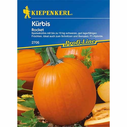 Tök Rocket termék fotó 1 Tök Rocket kép 1 termék 96629