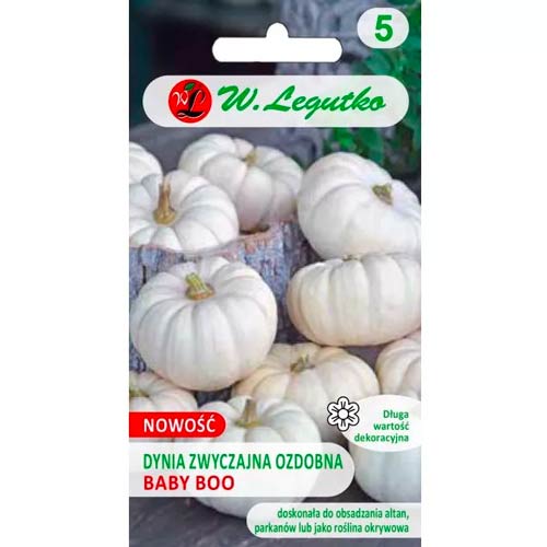 Tök sütőtök Baby Boo Legutko kép 1 termék 96767