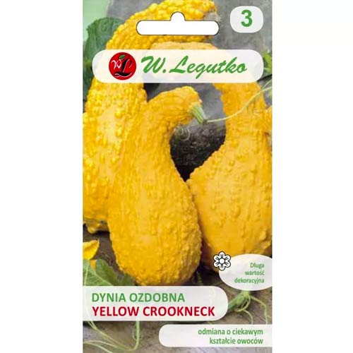 Tök sütőtök Yellow Croockneck Legutko kép 1 termék 96739