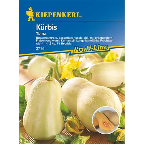 Tök Tiana F1 termék fotó 1 Tök Tiana F1 kép 1 termék 87282