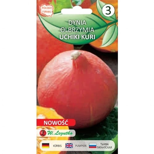 Tök Uchiki Kuri (Hokkaido) kép 1 termék 78455