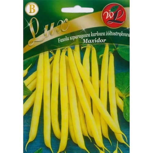 Törpe bab Maxidor kép 1 termék 96818