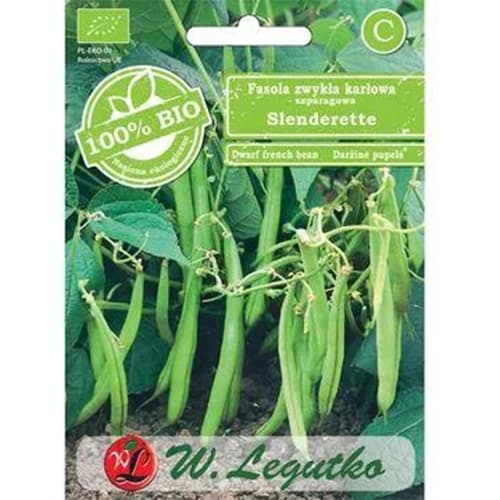 Törpe bab Slenderette kép 1 termék 96828