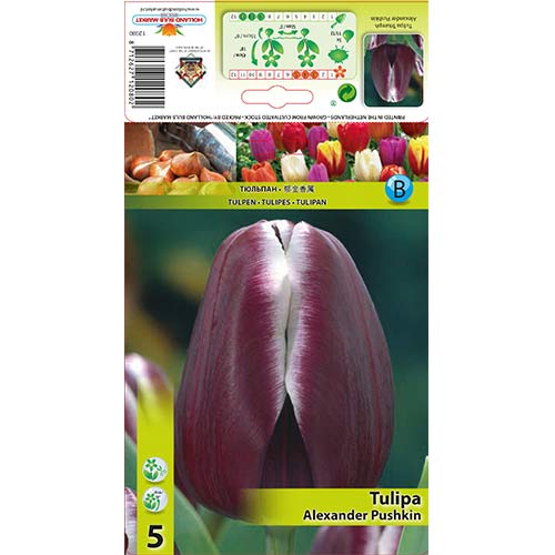 Tulipán Alexander Pushkin termék fotó 1 Tulipán Alexander Pushkin kép 1 termék 67683