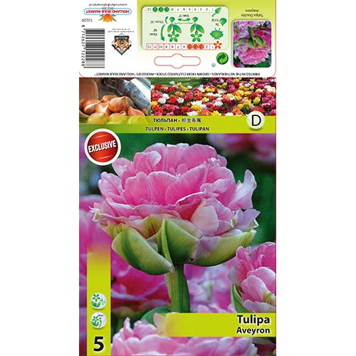 Tulipán Aveyron kép 1 termék 68075