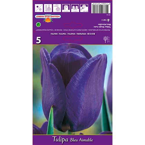 Tulipán Blue Aimable kép 1 termék 67705