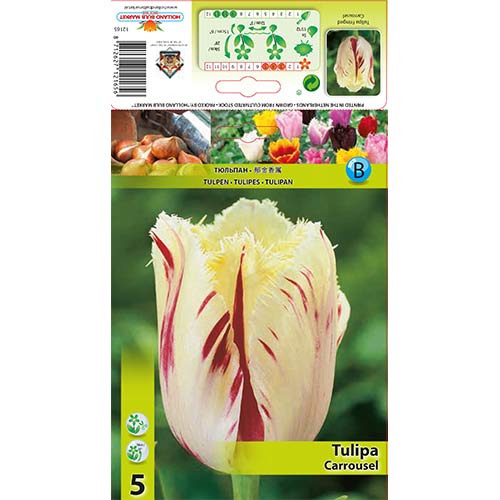 Tulipán Carrousel termék fotó 1 Tulipán Carrousel kép 1 termék 70298