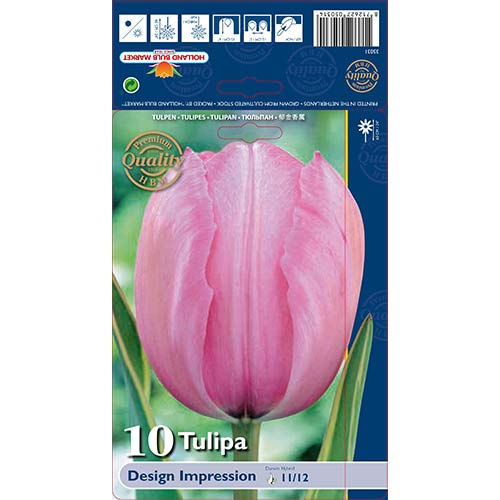 Tulipán Design Impression kép 1 termék 67728