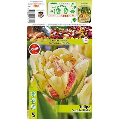 Tulipán Double Shake termék fotó 1 Tulipán Double Shake kép 1 termék 68404