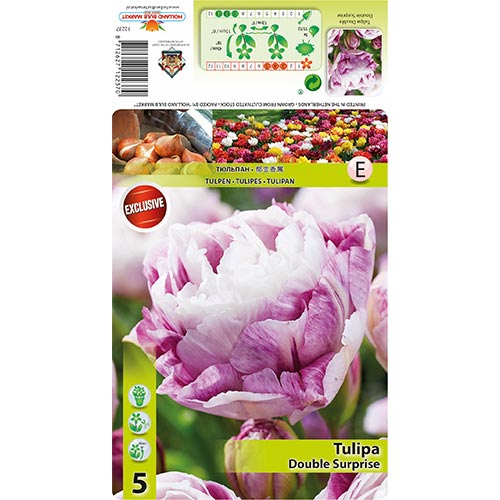 Tulipán Double Surprise termék fotó 1 Tulipán Double Surprise kép 1 termék 68405