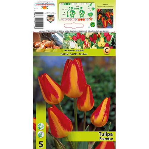 Tulipán Florette kép 1 termék 70305