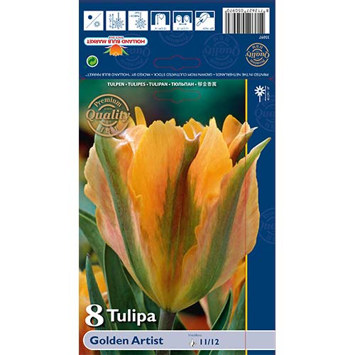 Tulipán Golden Artist termék fotó 1 Tulipán Golden Artist kép 1 termék 68032