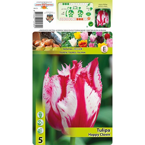Tulipán Happy Clown kép 1 termék 68398