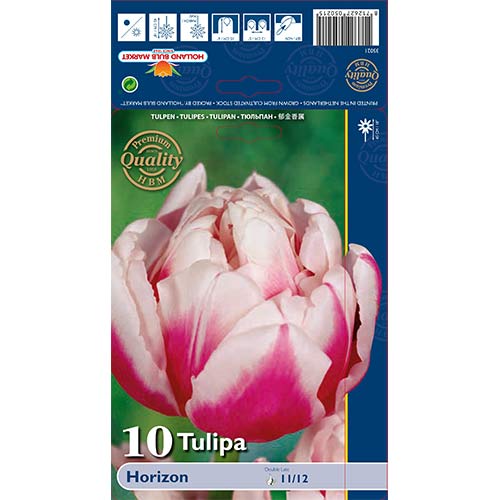 Tulipán Horizon kép 1 termék 68109