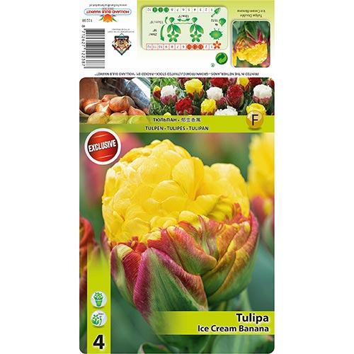 Tulipán Ice Cream Banana kép 1 termék 68402