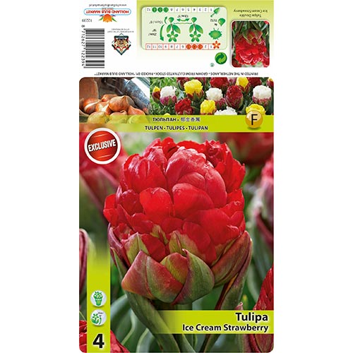 Tulipán Ice Cream Strawberry kép 1 termék 68403