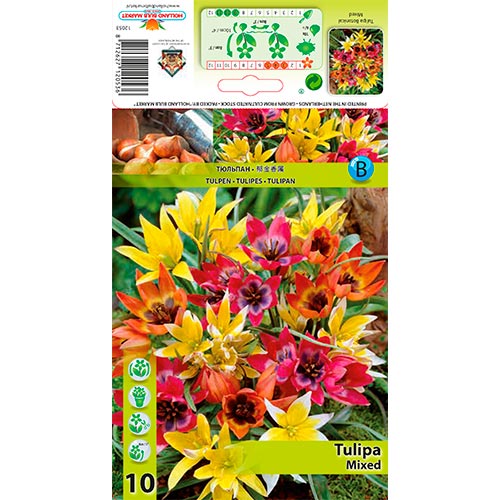 Tulipán, mix kép 1 termék 67873