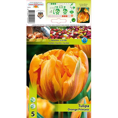 Tulipán Orange Princess kép 1 termék 67781