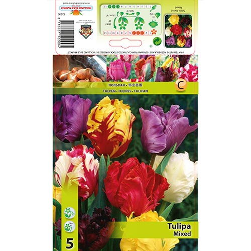 Tulipan Parrot, színkeverék kép 1 termék 67874
