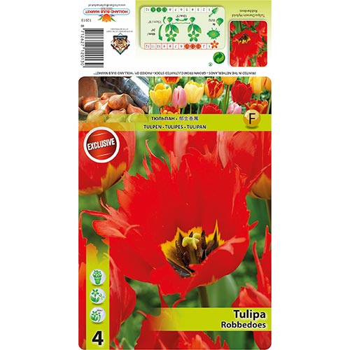 Tulipán Robbedoes kép 1 termék 68399