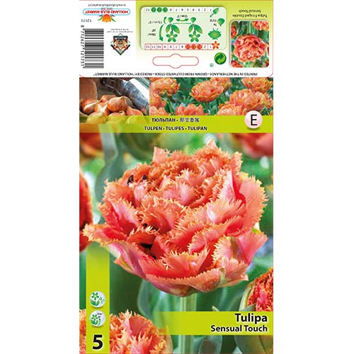 Tulipán Sensual Touch termék fotó 1 Tulipán Sensual Touch kép 1 termék 67831