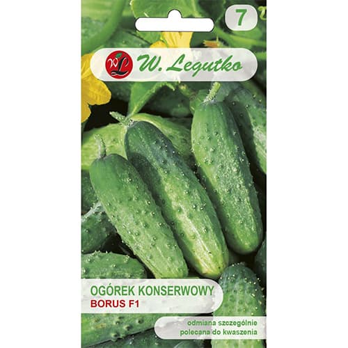 Uborka Borus F1 kép 1 termék 86882