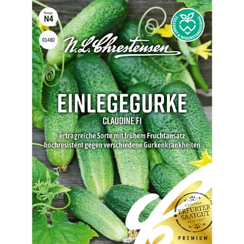 Uborka Claudine F1 kép 1 termék 86034