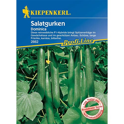 Uborka Dominica kép 1 termék 96669