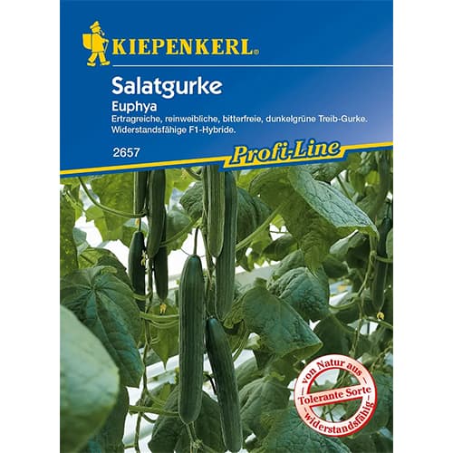 Uborka Euphya F1 kép 1 termék 86521