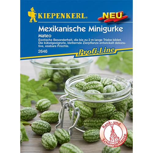 Uborka mexicoi Mateo termék fotó 1 Uborka mexicoi Mateo kép 1 termék 96634