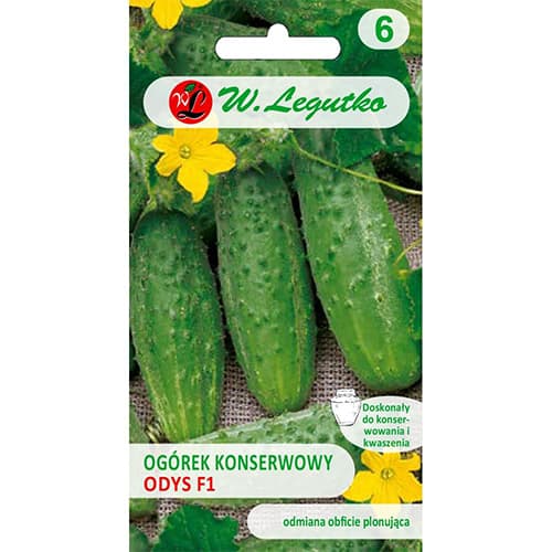 Uborka Odys F1 kép 1 termék 86879