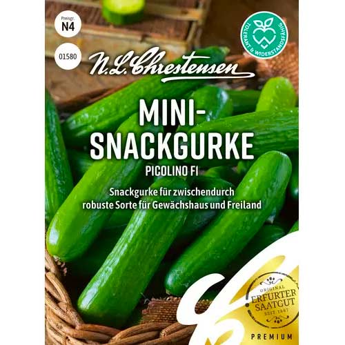 Uborka Picolino F1 Chrestensen termék fotó 1 Uborka Picolino F1 Chrestensen kép 1 termék 50051
