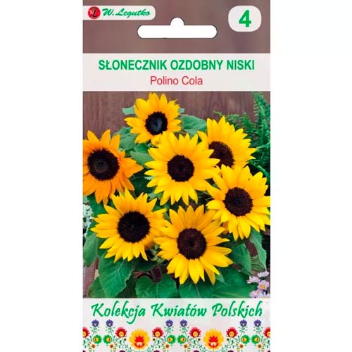 Uborkalevelű napraforgó Polino Cola Legutko kép 1 termék 86735
