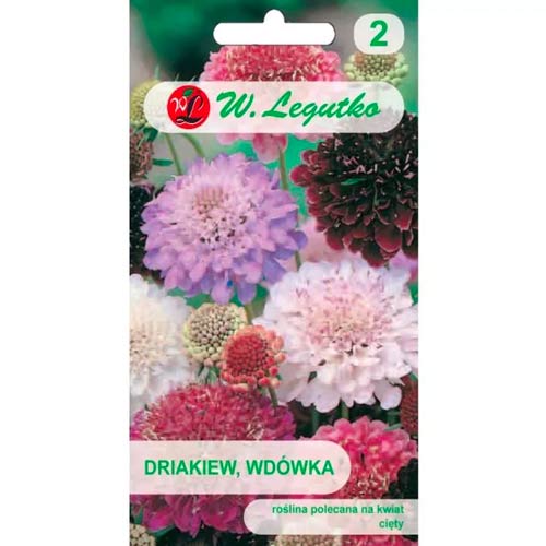 Vajszínű ördögszem, színkeverék Legutko kép 1 termék 96698