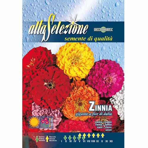 Vasvirág dália virágokkal, mix termék fotó 1 Vasvirág dália virágokkal, mix kép 1 termék 96326