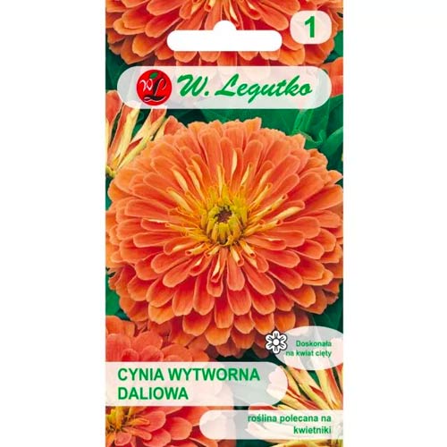 Vasvirág Eldorado Legutko termék fotó 1 Vasvirág Eldorado Legutko kép 1 termék 78543