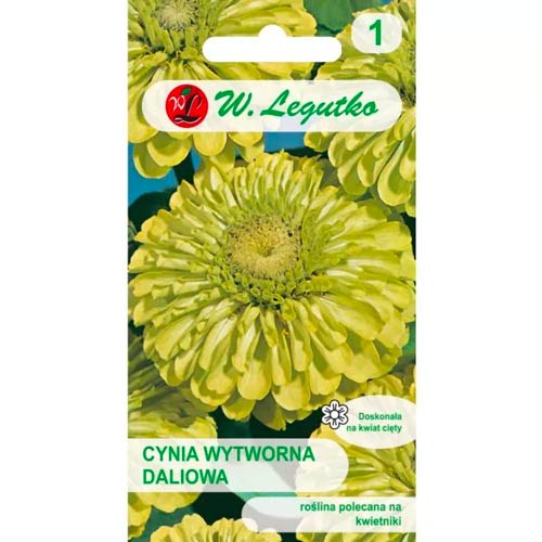 Vasvirág Envy Legutko kép 1 termék 78544