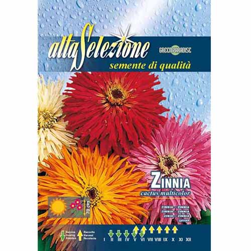 Vasvirág kaktusz típus, mix termék fotó 1 Vasvirág kaktusz típus, mix kép 1 termék 96325