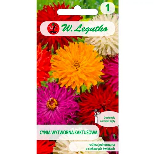 Vasvirág kaktusz típusu, színkeverék Legutko kép 1 termék 86820