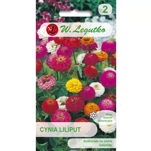 Vasvirág Liliputek, színkeverék Legutko kép 1 termék 69578