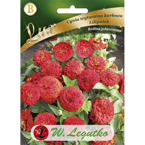 Rézvirág Liliputek törpe, vörös kép 1 termék 78662