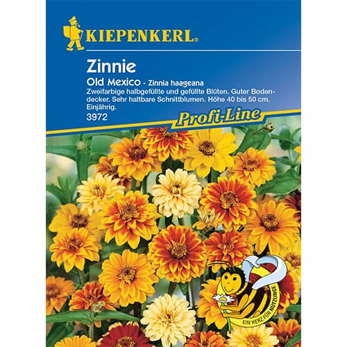 Rézvirág Old Mexico kép 1 termék 86357