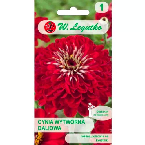 Vasvirág Scarlet Flame Legutko termék fotó 1 Vasvirág Scarlet Flame Legutko kép 1 termék 69576