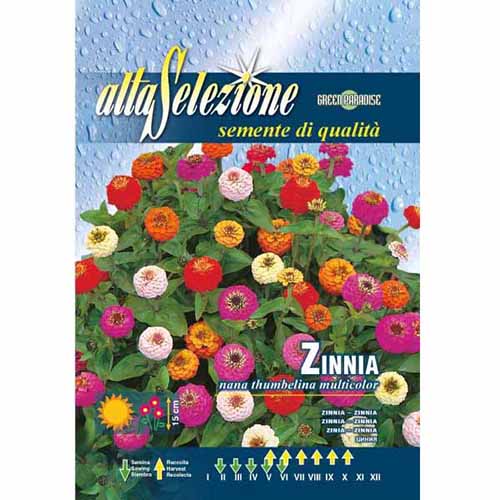 Vasvirág Thumbelina, mix kép 1 termék 96329