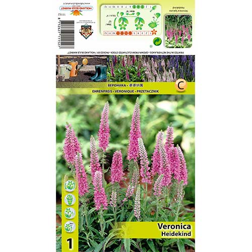 Veronika Heidekind kép 1 termék 70454
