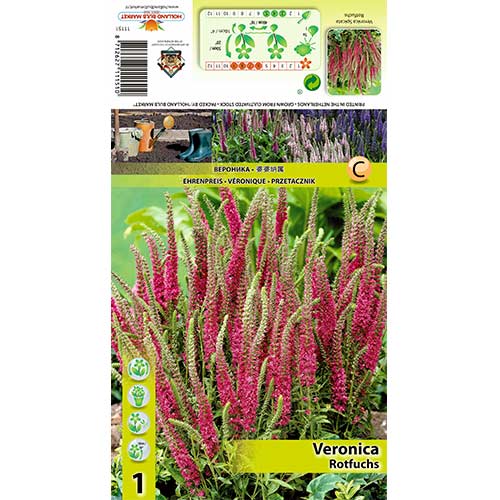 Veronika Rotfuchs termék fotó 1 Veronika Rotfuchs kép 1 termék 70455