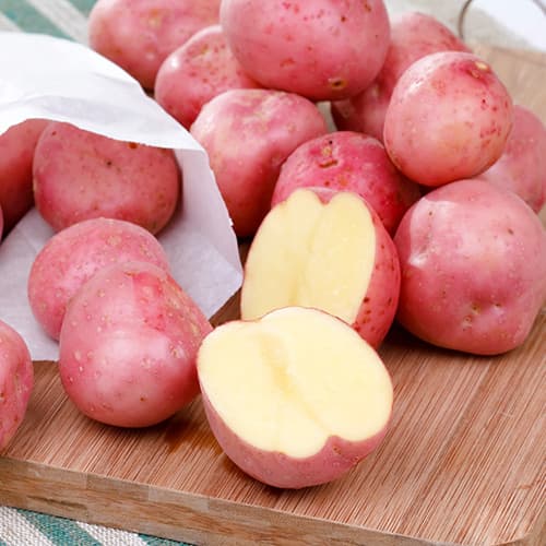 Vetőburgonya Bellarosa termék fotó 1 Vetőburgonya Bellarosa kép 1 termék 7828