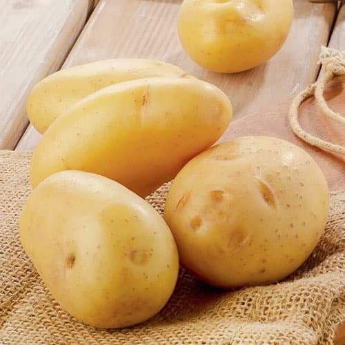 Vetőburgonya Jelly kép 1 termék 5681